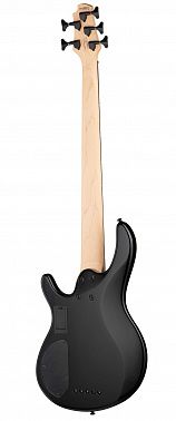 Бас-гитара CORT C5-Plus-ZBMH-TBB