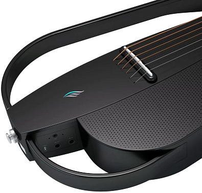 Электроакустика Enya NEXG-2/BK