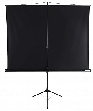 Экран Lumien Eco View LEV-100110