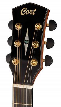 Электроакустика CORT Cut-Craft-Limited-WCASE-N