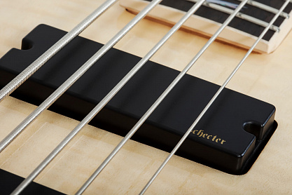 Бас-гитара SCHECTER OMEN EXTREME-5 GNAT