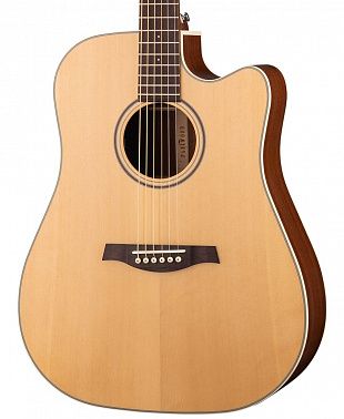 Электроакустика Parkwood S26-GT