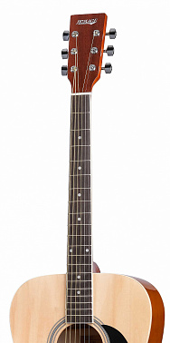 Акустическая гитара HOMAGE LF-4100-N