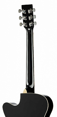 Акустическая гитара HOMAGE LF-401C-B