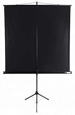 Экран Lumien Eco View LEV-100103