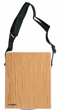 Кахон Мозеръ CJT-1