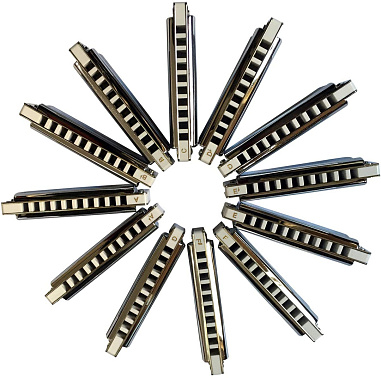 Диатоническая губная гармошка EASTTOP T008 A