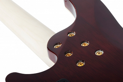 Бас-гитара SCHECTER OMEN EXTREME-5 GNAT