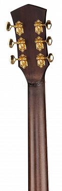 Акустическая гитара CORT Gold-D8-WCASE-NAT