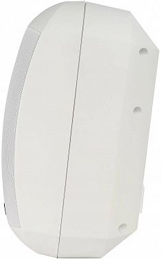 Настенная акустическая система INTREND ITSPK-MSK6-W