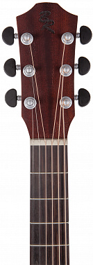 Электроакустика BATON ROUGE AR21C/GACE-LH