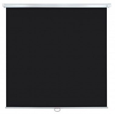 Экран Lumien Eco Picture LEP-100108