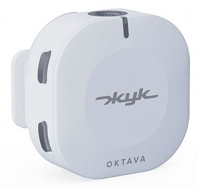 Радиосистема Октава ZHUK-1-B Жук-1-Б