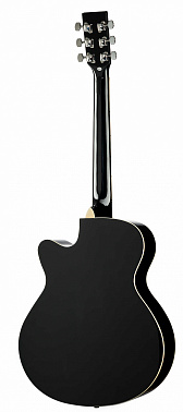 Акустическая гитара HOMAGE LF-401C-B