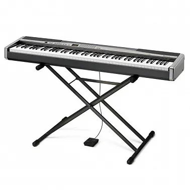 CASIO PX 300